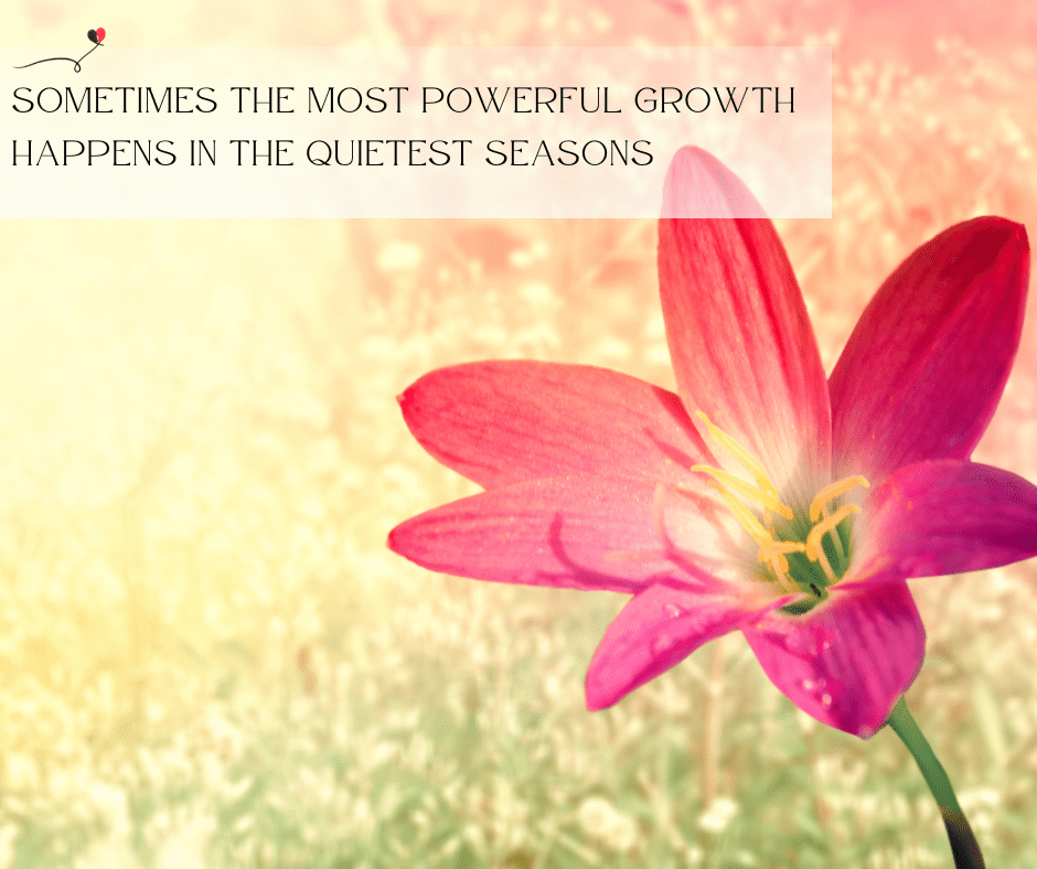 Close-up of a pink flower blooming in soft sunlight with the quote "Sometimes the most powerful growth happens in the quietest seasons" in elegant font.